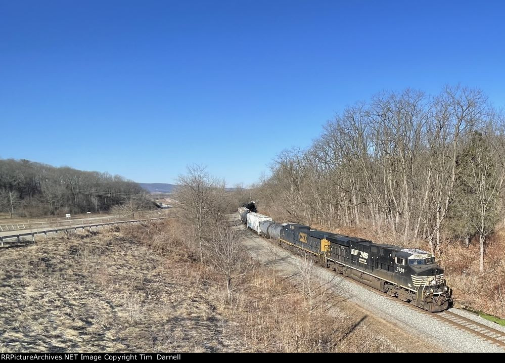 NS 7688, CSX 96 on 316